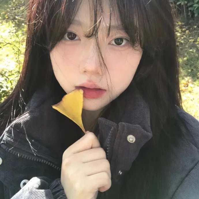 排球少年第二季